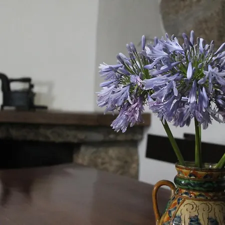 Refugio Do Douro - Local *